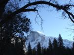 Yosemite winter-11 - Half Dome framed by a tree at the edge of a meadow