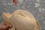 Burgos0903-29
Flying stick insect landed on my hat in the main plaza in Sepúlveda 