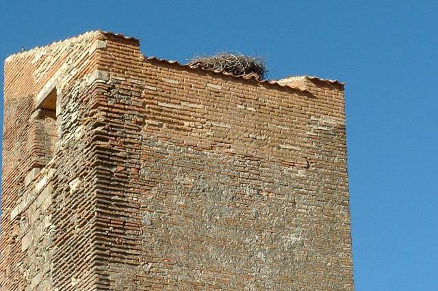 Burgos0903-44
Pedraza de la Sierra - stork's nest on top of tower near castle 
