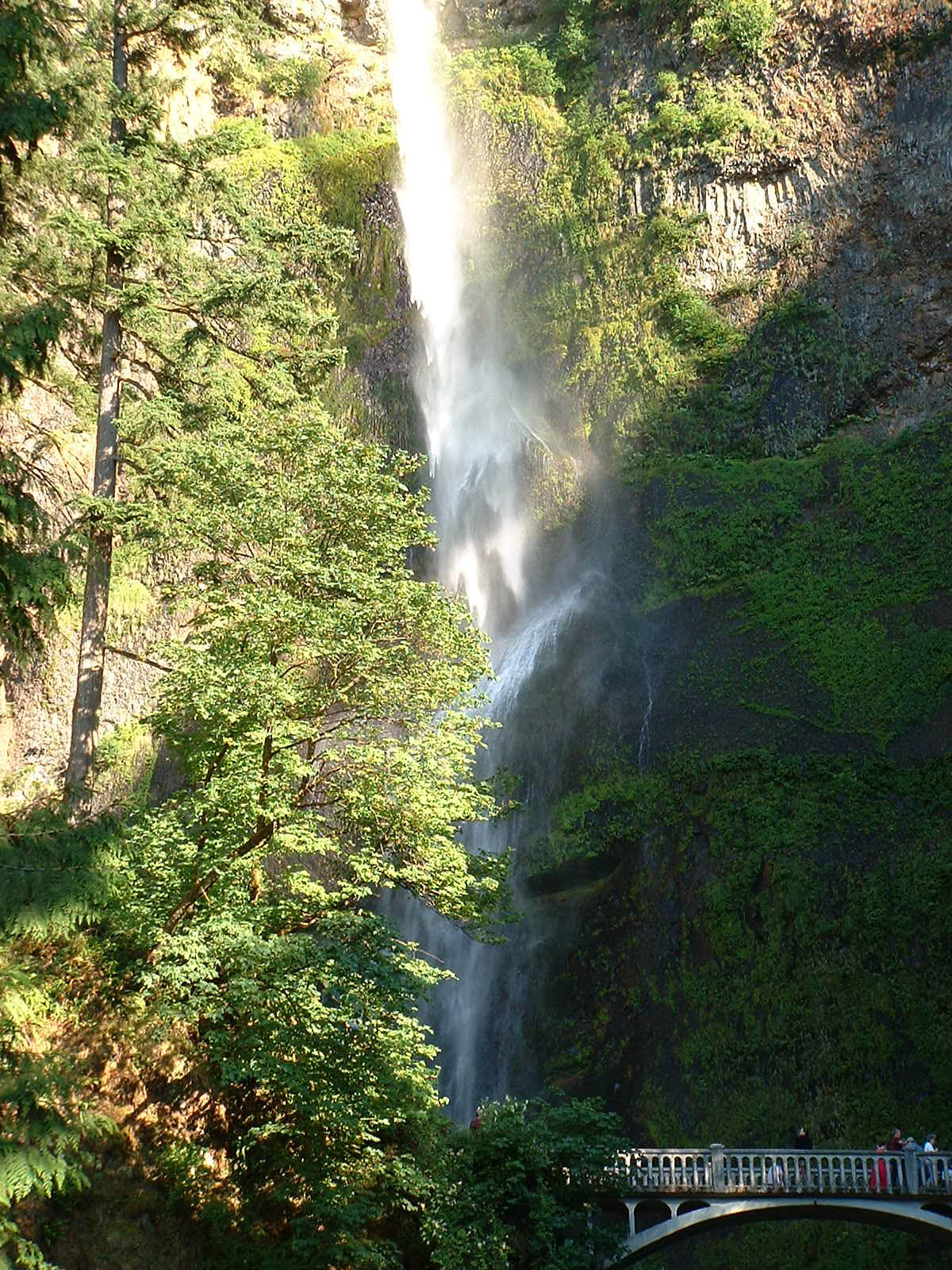 Columbia River Gorge-07