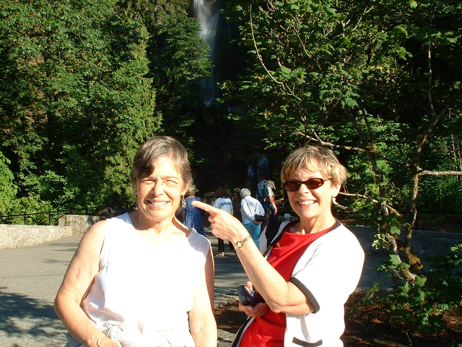 Columbia River Gorge-09 Kathy pointing to the swelling under my eye - went into the sinus cavities, so both eyes were affected. 