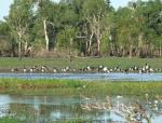 Australia-Darwin to Alice Springs-14