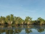 Australia-Darwin to Alice Springs-26