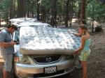 Calaveras Big Trees-02
