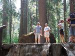 Calaveras Big Trees-18