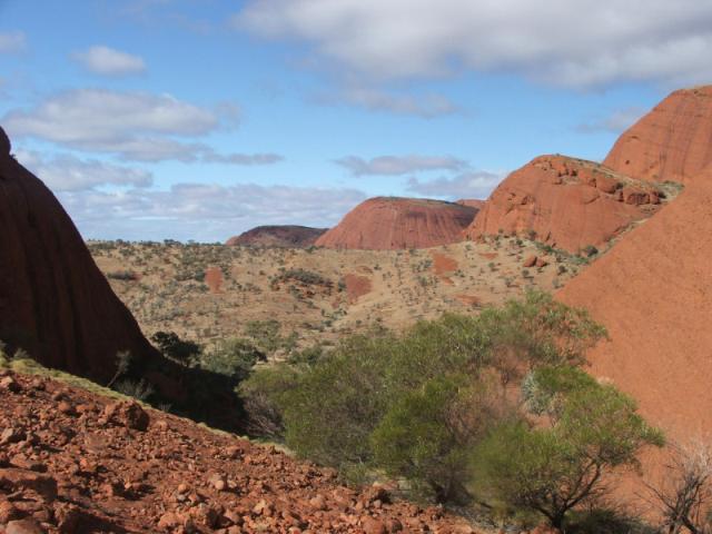 Australia-Red Centre and back-11