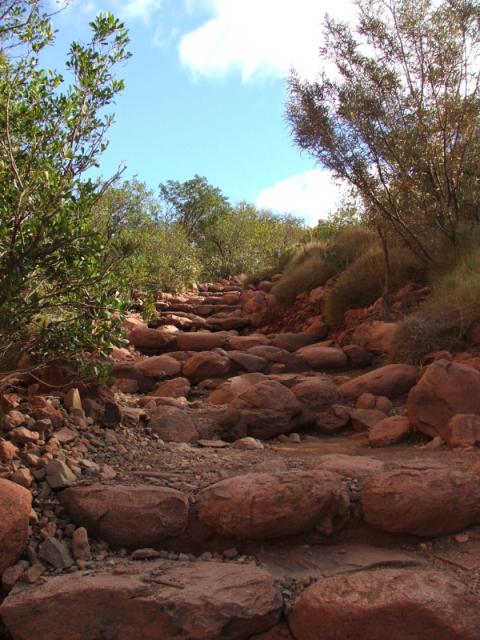 Australia-Red Centre and back-14