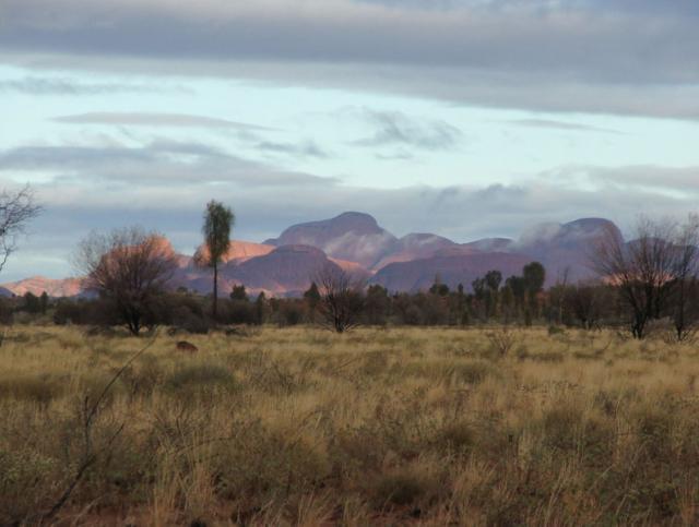 Australia-Red Centre and back-21