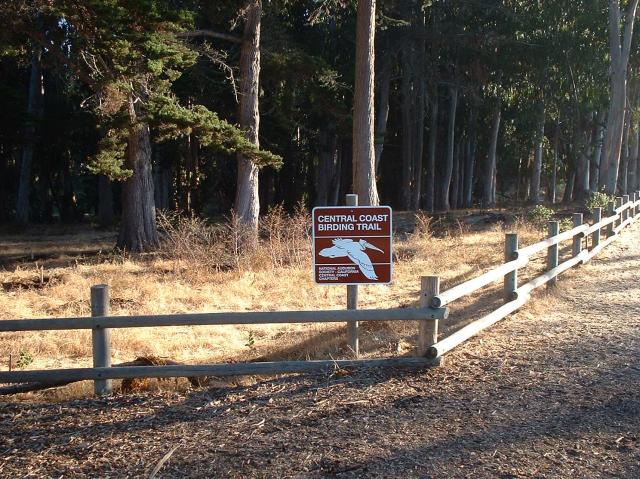 Edge of Sweet Springs Nature Preserve