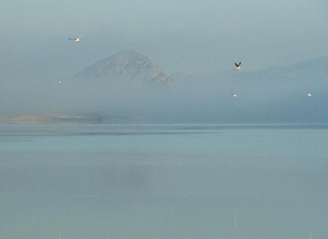 Morro Bay in morning fog