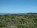 Elfin Forest view from boardwalk